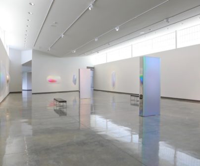 Installation view of "Gisela Colon: Pods" at Daum Museum.
