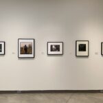 Installation view of "All We Are."