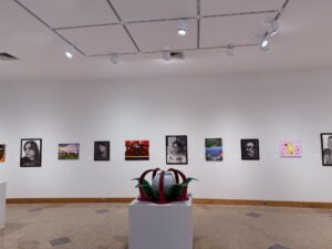 Installation shot.