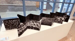 Installation shot of Dana Fritz's "Post-fire postscript", 2024.