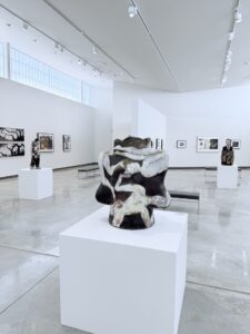 Installation shot of "Inhabit"