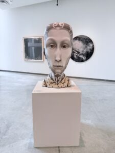 Installation shot of "Inhabit"