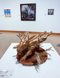 Installation shot of "Contemporary Visions of the West"
