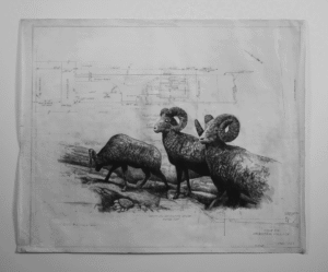 Donald Pollack, "Big Horn Easement", 2024; Graphite on drafting paper; Courtesy of Marcia Wood Gallery.
