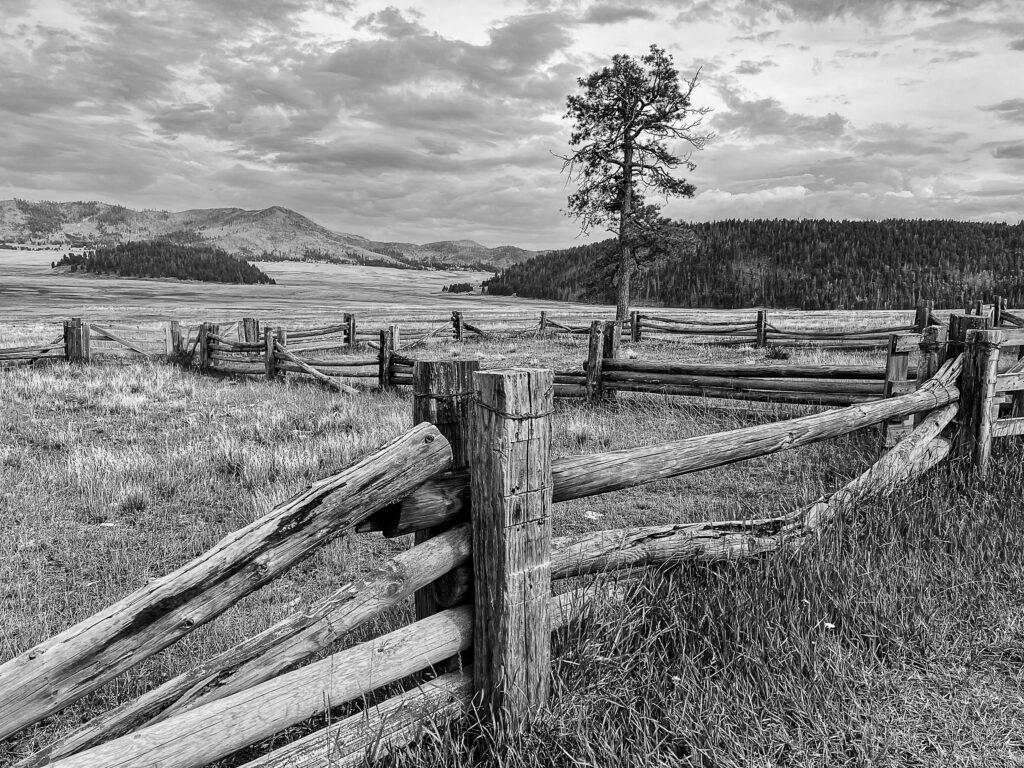 Luis Saenz, "Corral", 2025; Black and white photo on metal print, Courtesy of the artist.