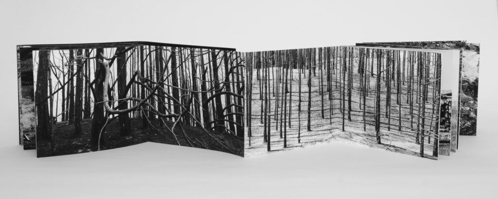 Dana Fritz, "Post-Fire postscript", 2024; Archival pigment prints and adhesive; Courtesy of the artist.