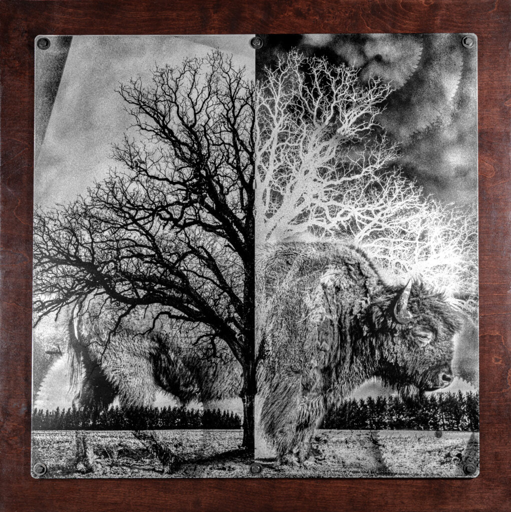 Robert Coomer, "Memory Tree", 2026; Digital photograph printed on hand-distressed industrial aluminum with painted patina, stained plywood, and aged hardware; Courtesy of the artist.