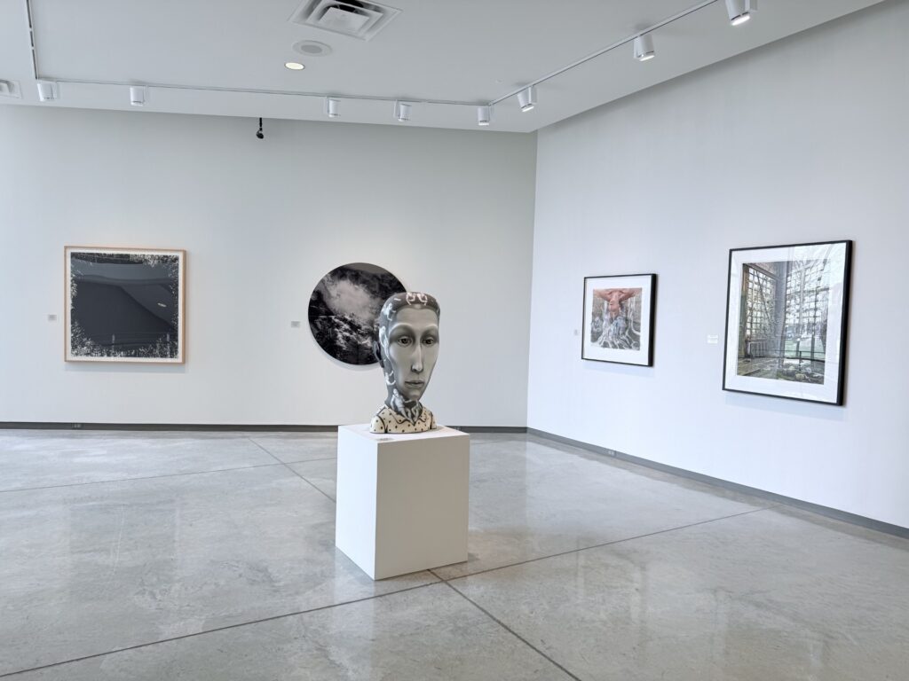 Inhabit | Daum Museum of Contemporary Art