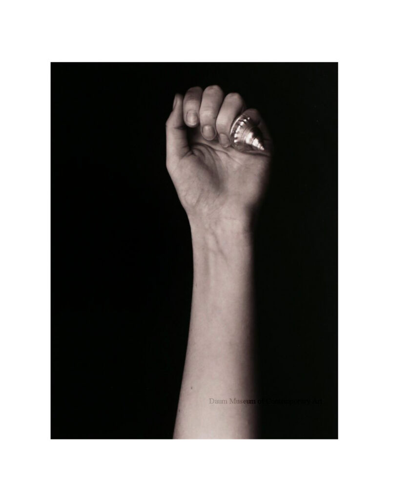 Eye of the Beholder | Daum Museum of Contemporary Art